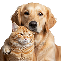 Dog and cat hugging 3